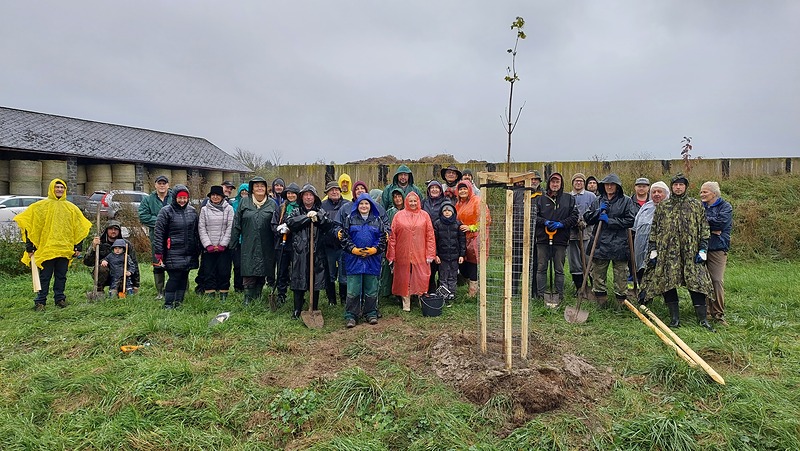 Výsadba javorové aleje Hvožďany + Roželov