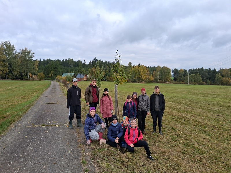 Skauti pečují o s stromy ve Studnicích