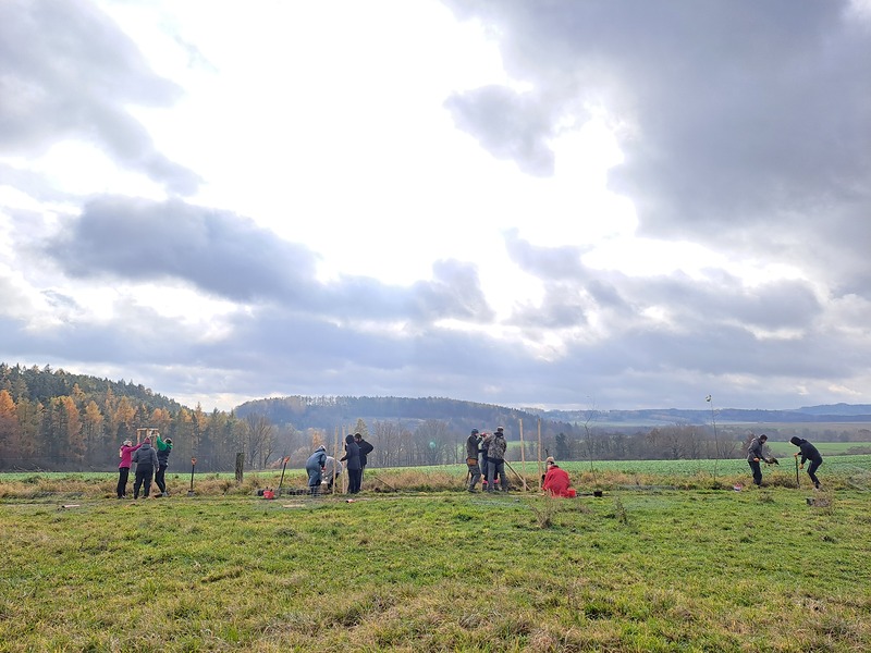 Břízy pro lidi i bůvoly