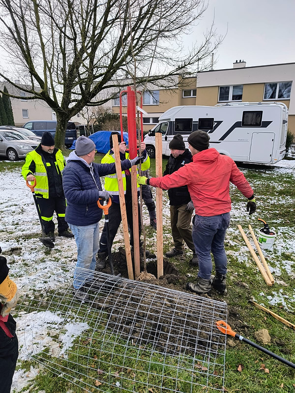 Zeleň u fotbalového hříště