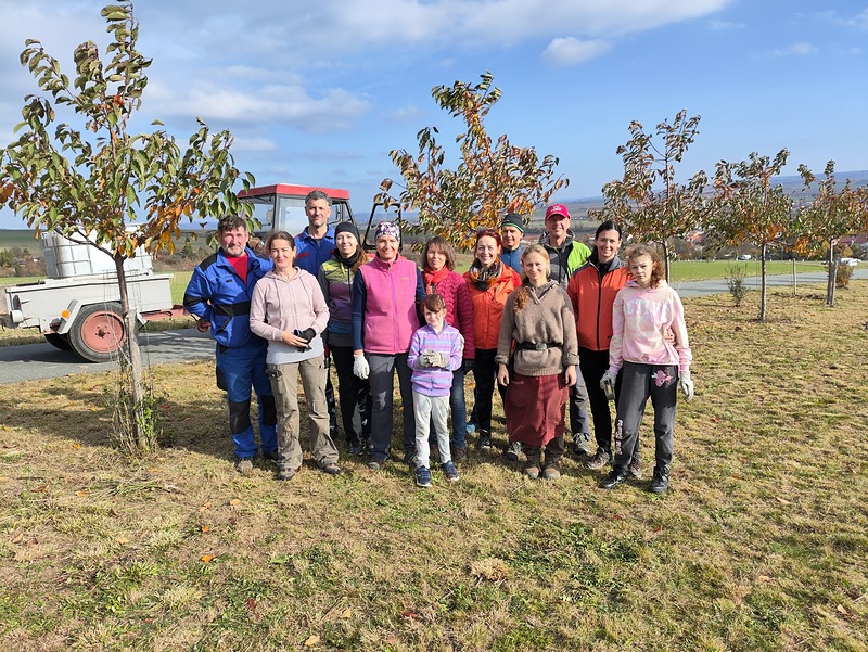Povýsadbová péče v Hostěrádkách-Rešově