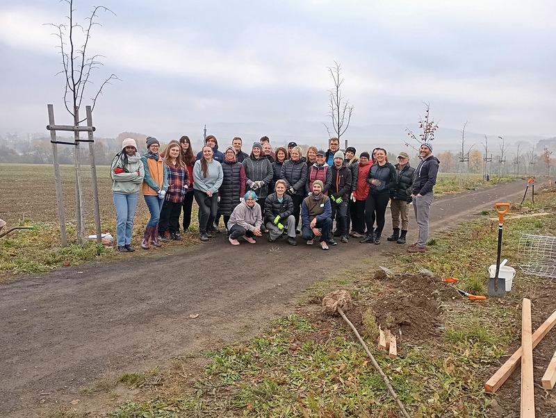 Obnova staré polní cesty v Hořovicích