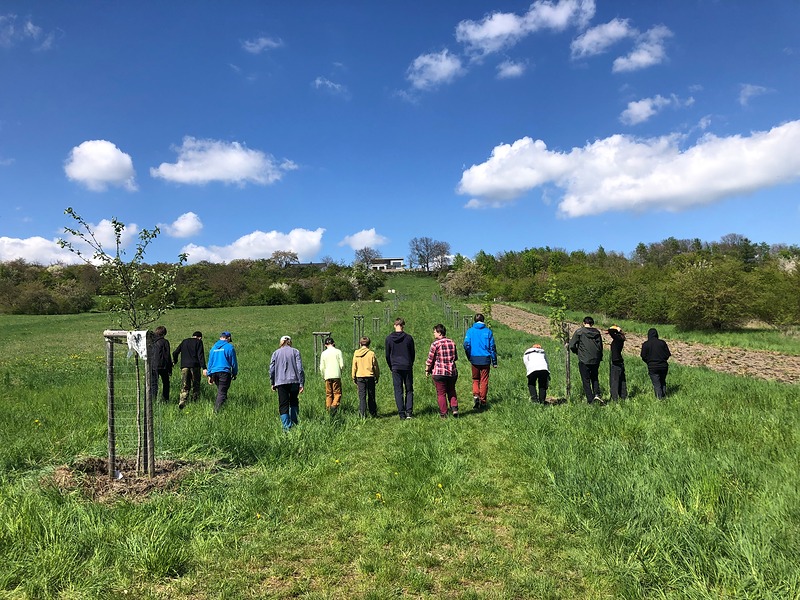 Draci se vypořádali s plevelí u stromů