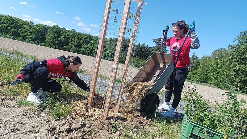 Celá alej v Doubku opečována!