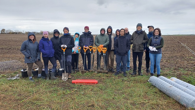U Tatců dokončili lipovou alej a sázeli keře