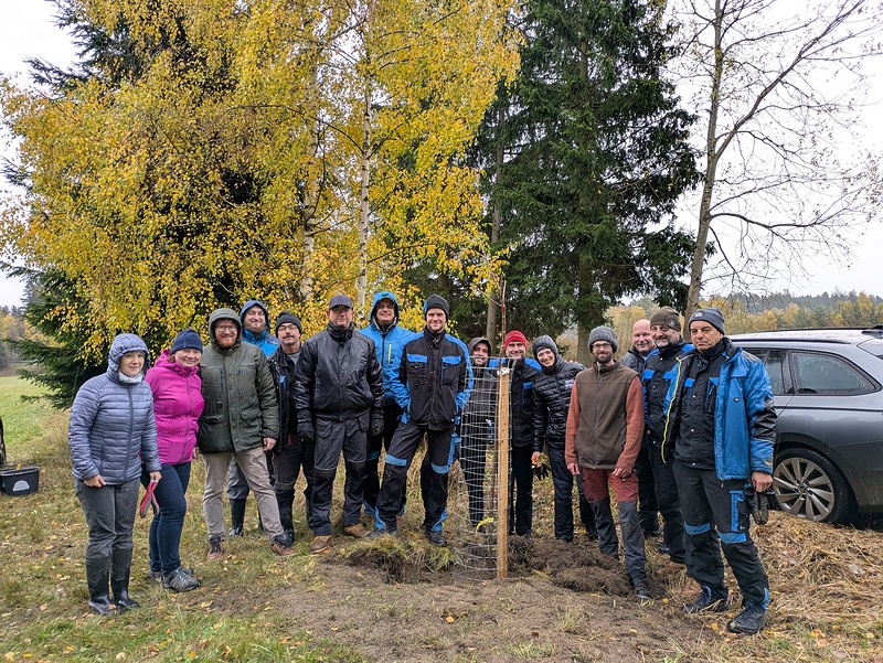 DALU sází i za deště!