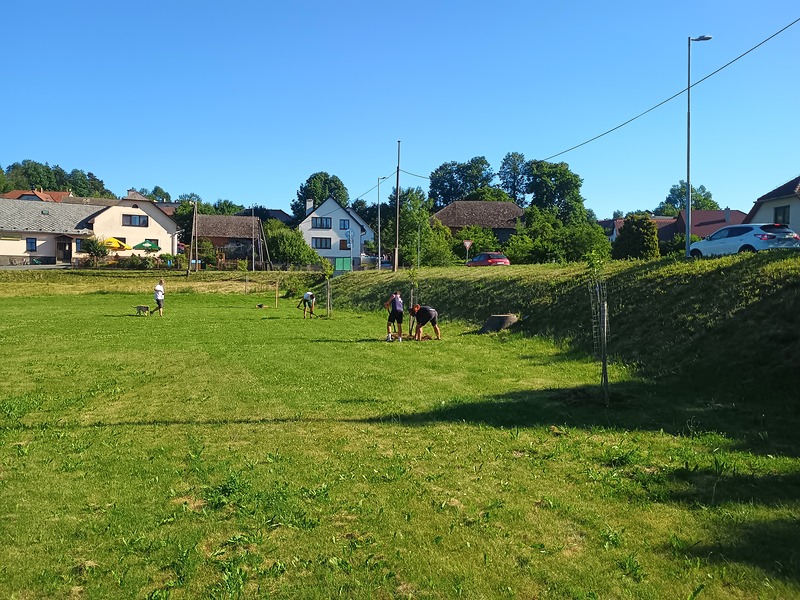 Péče o stromy v Nyklovicích