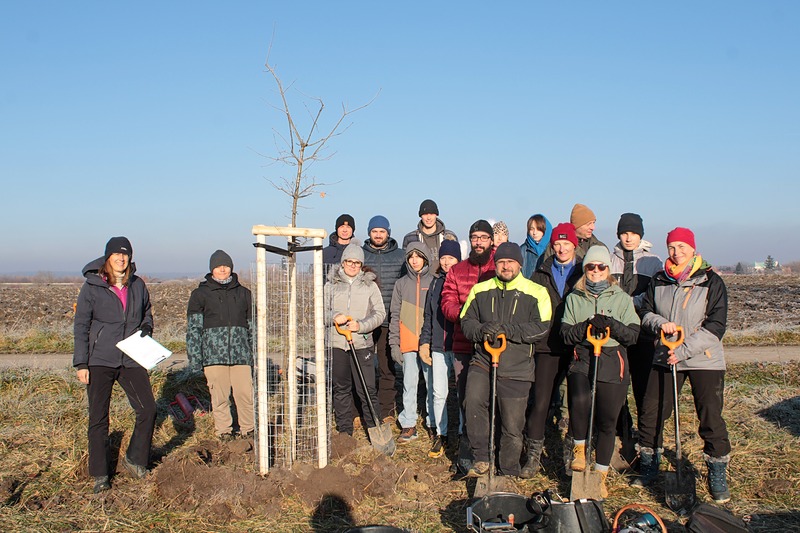 Nová dubová alej pro Žiželice