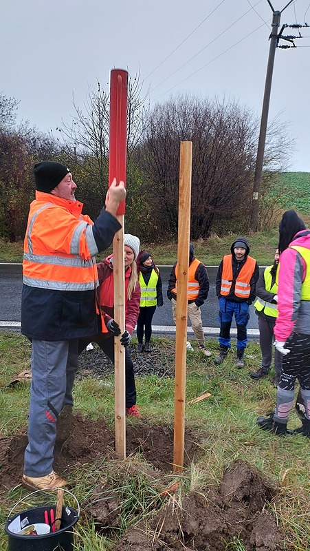 I k silnici ke skládce může vést krásná alej