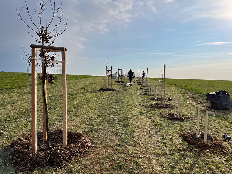 V Tehově vzniká dlouhý větrolam