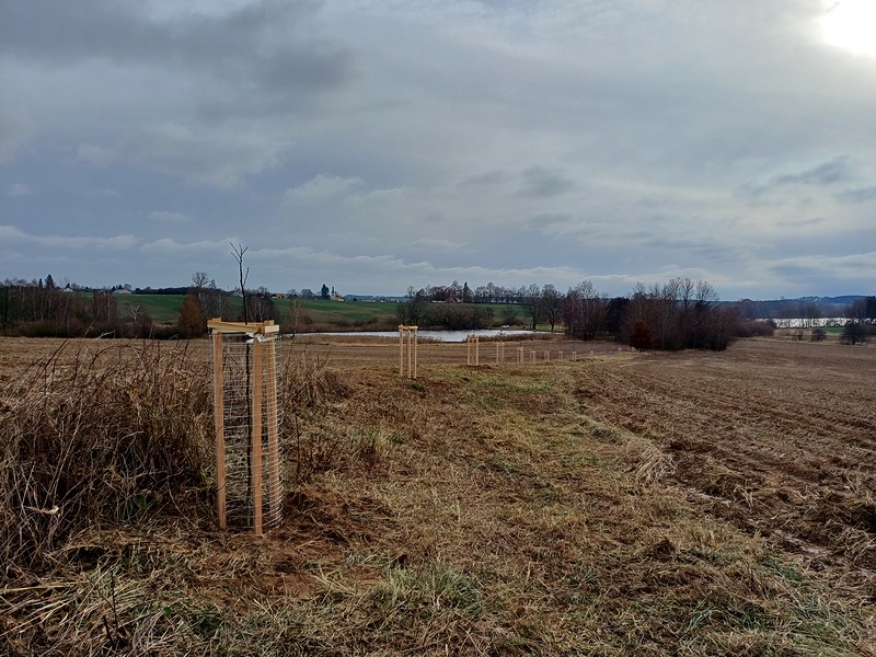 Staronová cesta z Tučap do Brandlína – I. etapa