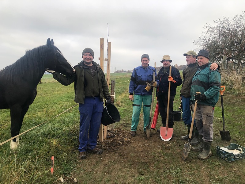 Myslivci osázeli Milínov stromy a keři
