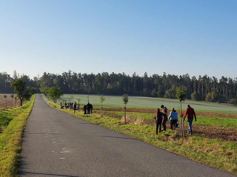 Sto jabloní připravených na zimu díky dětem ze Zbraslavi