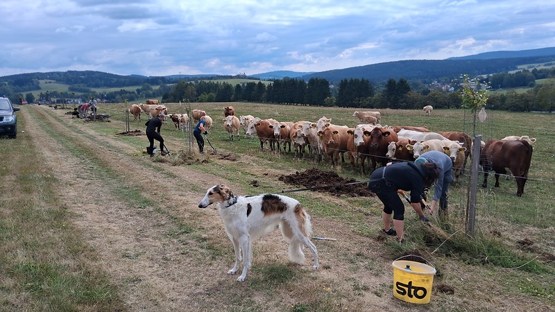 Péče o 90 ovocných stromů ve Svratouchu