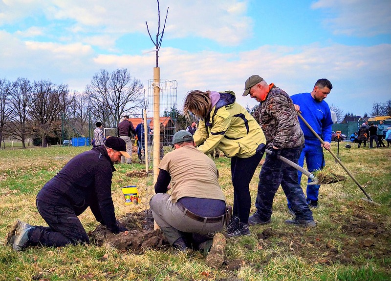 Nový ovocný sad v kraji rybníků u Pašic na českobudějovicku