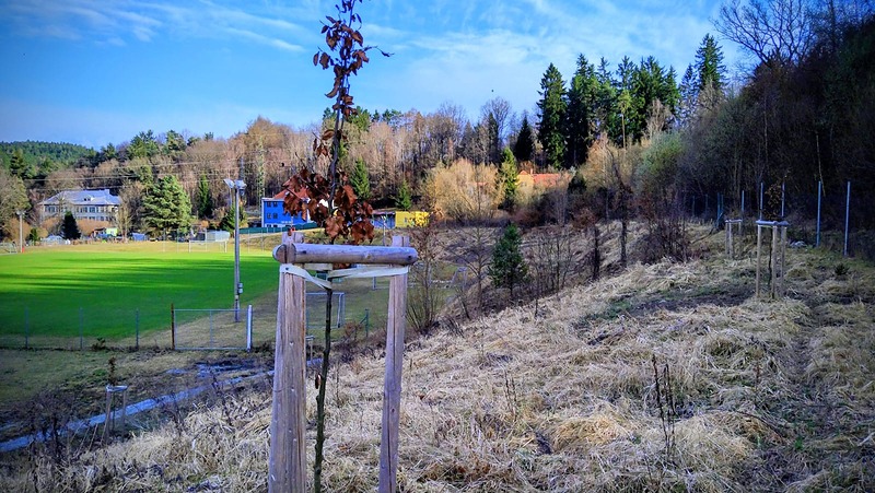 SK Větřní a zeleň u stadionu