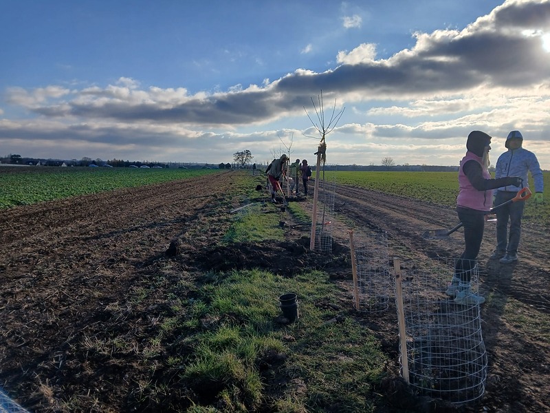 Výsadba stromů a keřů v Podolance aneb jeden mrazivý den, který přinesl nový život krajině