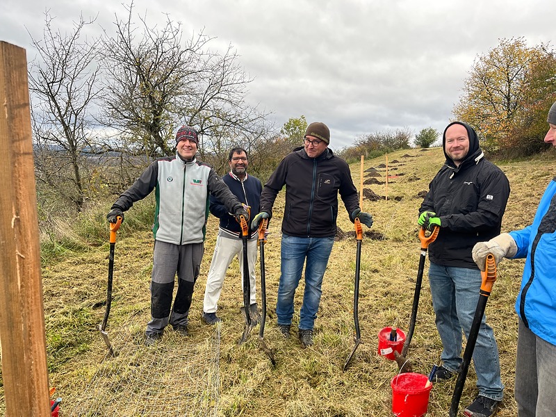HPE sází s grácií druhý sad v Řevničově