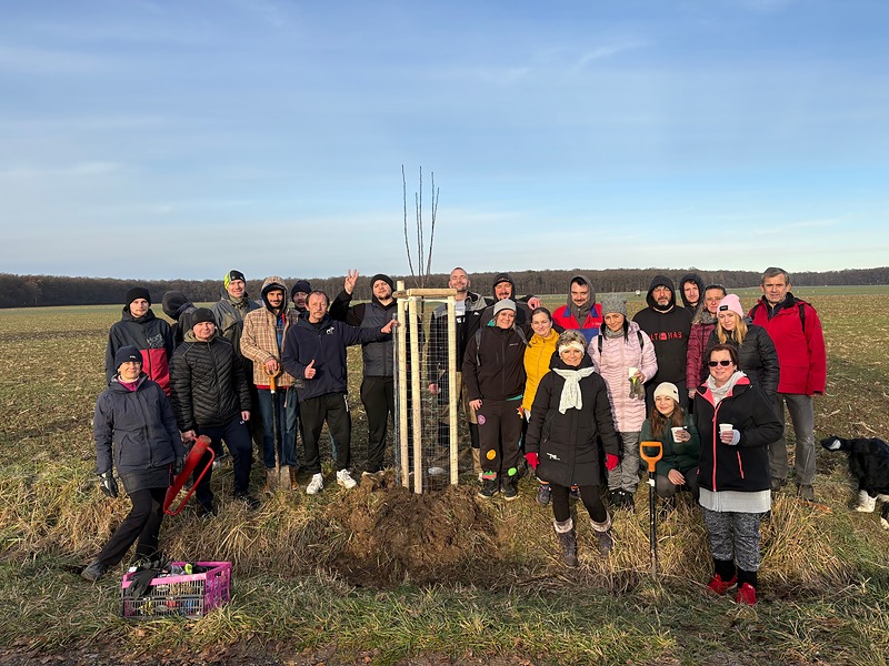 Rozšíření ovocné aleje ve Starých Nechanicích