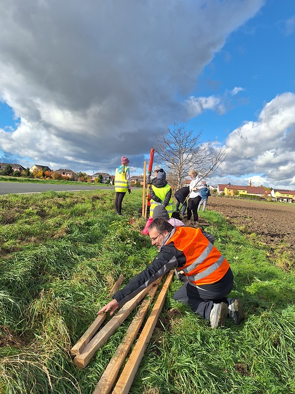Výsadba Líbeznice