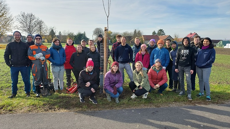 V Radovesnici II osázeli novou cestu