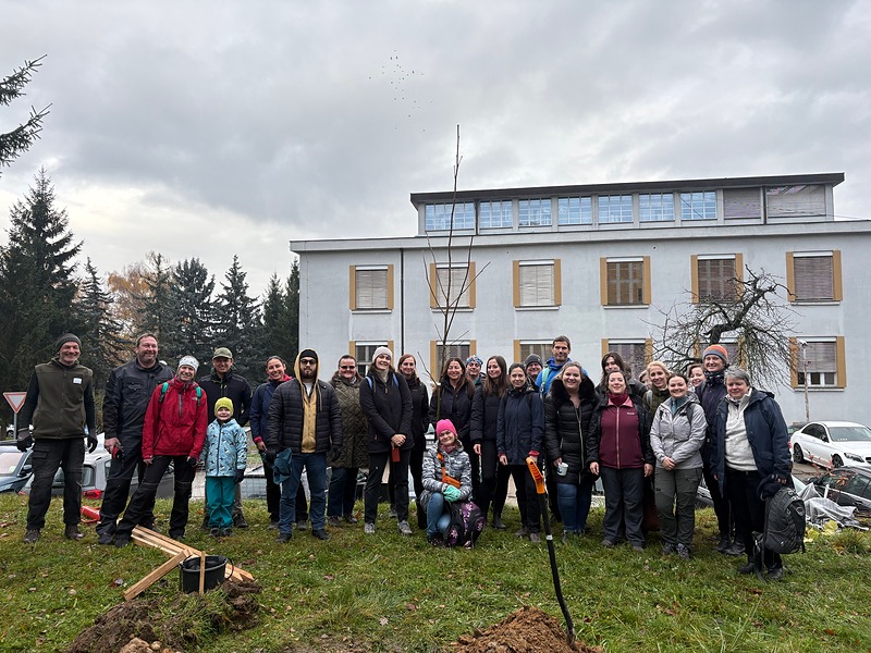 Výsadba stromů v pražské Thomayerově nemocnici 