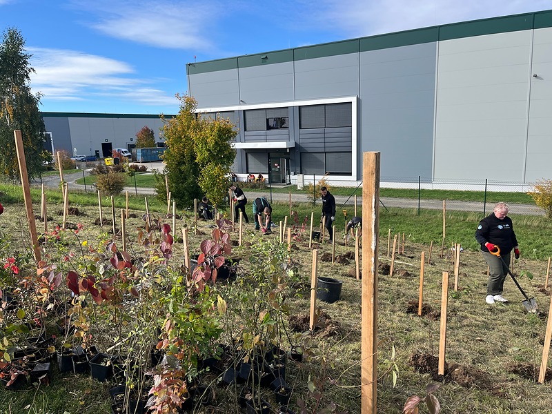 Na jenečský val firma HP vysadila dalších 300 keřů