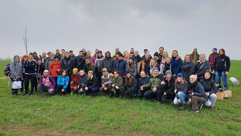 Velké lány nově nad Cerhýnkami dělí zelený pás