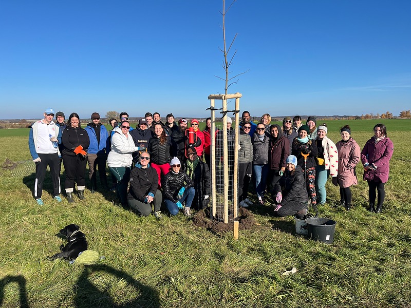 V Žiželicích jsme dosázeli alej u letiště