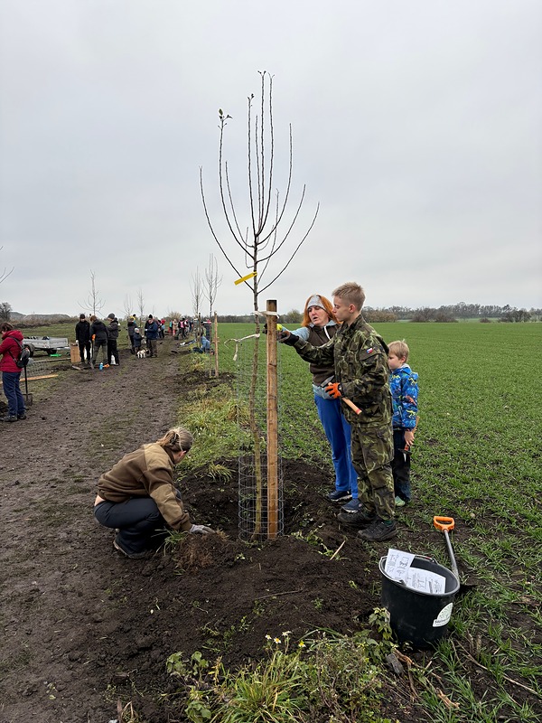 Občané Zlonína dokončili výsadbu stromů a keřů podél místní stezky