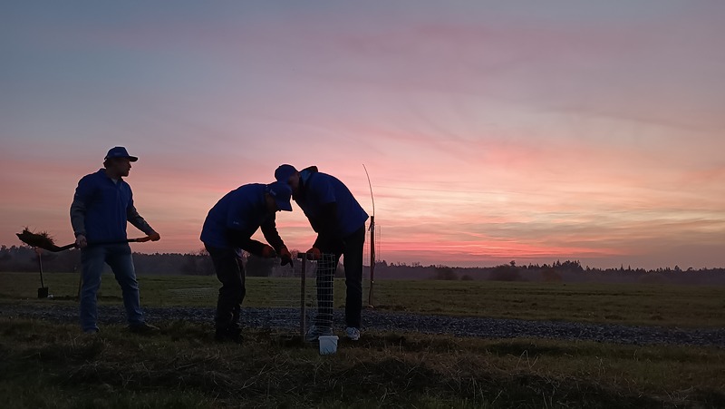Obnovená a osázená polní cesta z Doubku
