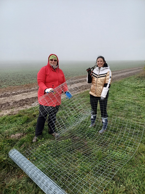 Výsadba stromů a keřů na polní cestě v Podolance