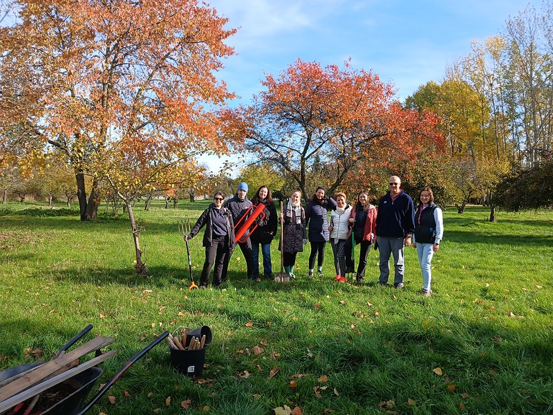 Povýsadbová péče v Domově Sv.Karla Boromejského