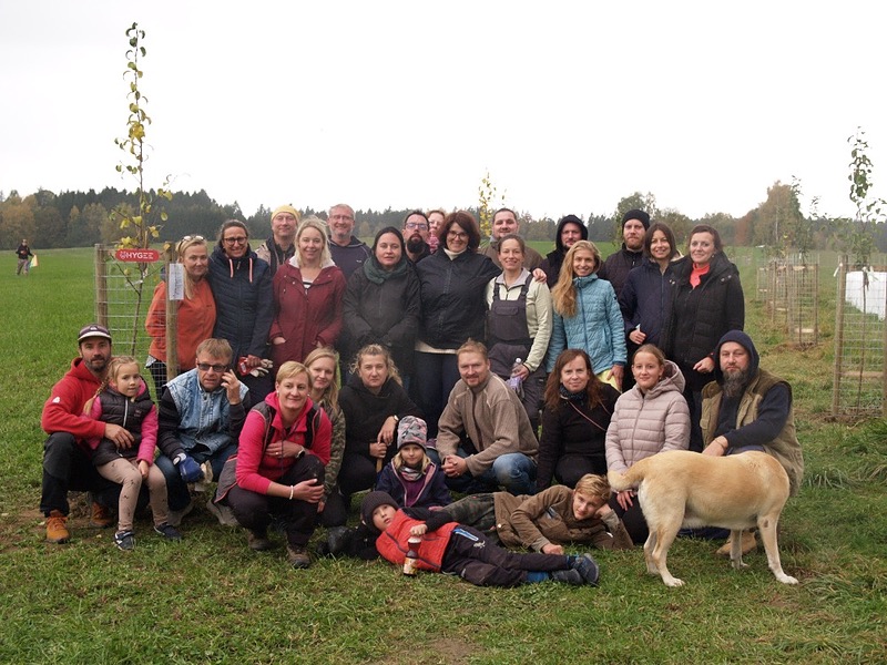 Obnova historické Kubátovy cesty ve Vlčicích na Jindřichohradecku