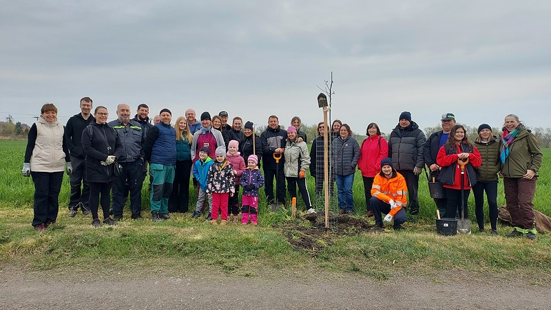 V Žiželicích vznikla nová alej