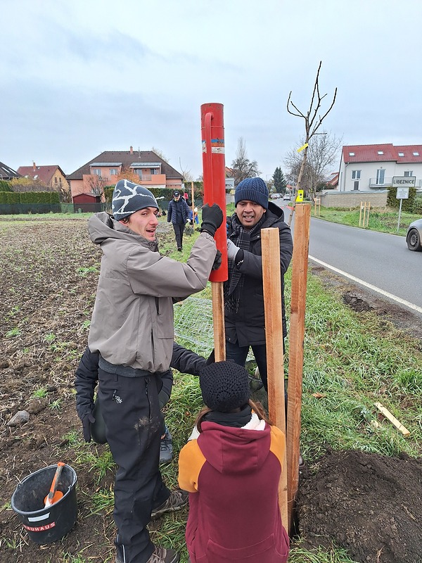 Líbeznice Novo Nordisk