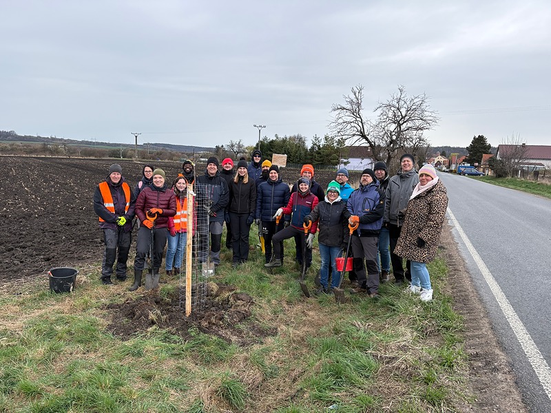 Nové ovocné stromy pro Kounice