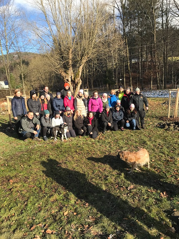 Ovocný sad lokálních odrůd v Morávce