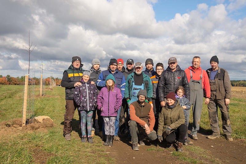 Dosadba ovocné aleje v Pokřikově