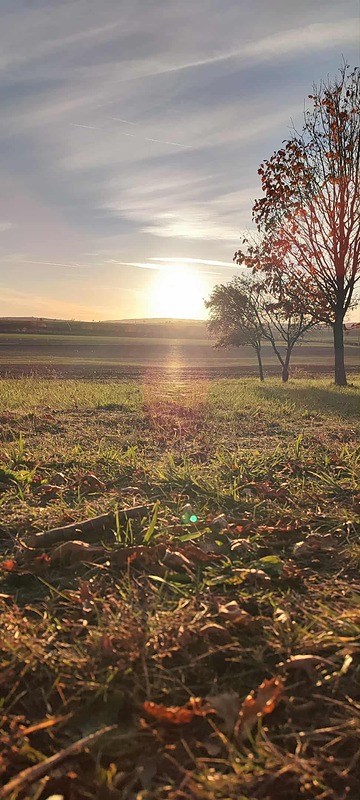 Italská návštěva na základní škole
