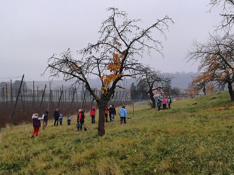V Blšanech se sázelo podruhé - tentokrát se sousedy
