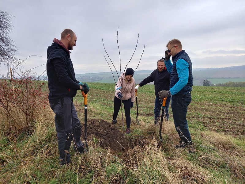 Výletní výsadba: V Horní Moštěnici přibylo 21 nových ovocných stromů