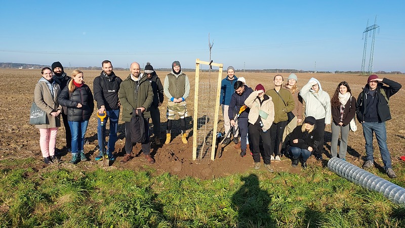 K silnici z Hořan na Sadskou přibyly jabloně