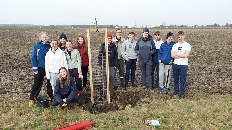 Septima Gymnázia J. Seiferta sázela u Hořan