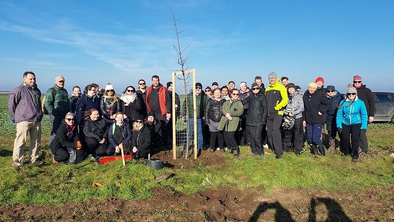 Nová alej a cesta mezi Plaňany a Cerhýnkami je vysázená
