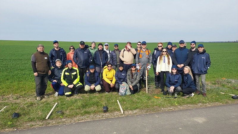 U Radovesnice II přibyla nová linie zeleně