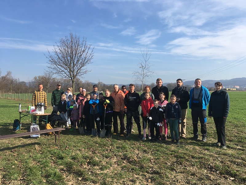 Společně jsme vysadili 290 keřů v Lužicích