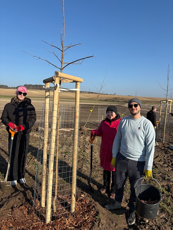 Zeleň pro sběrný dvůr ve Staré Lysé