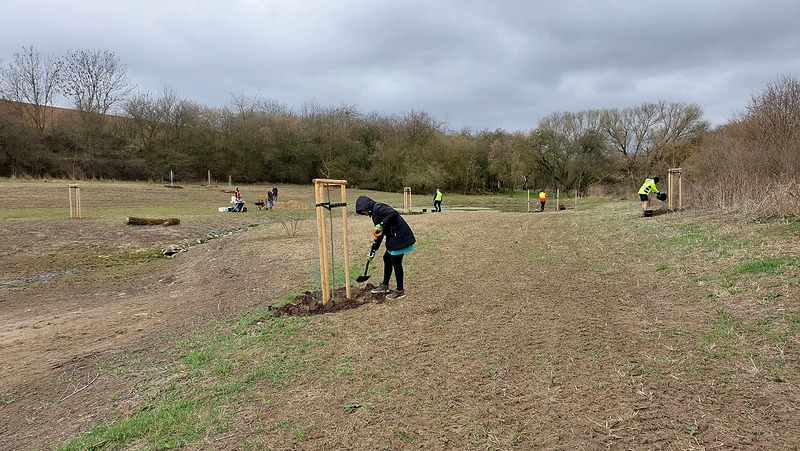 V Hradeníně u tůní Toyota pečovala o stromy