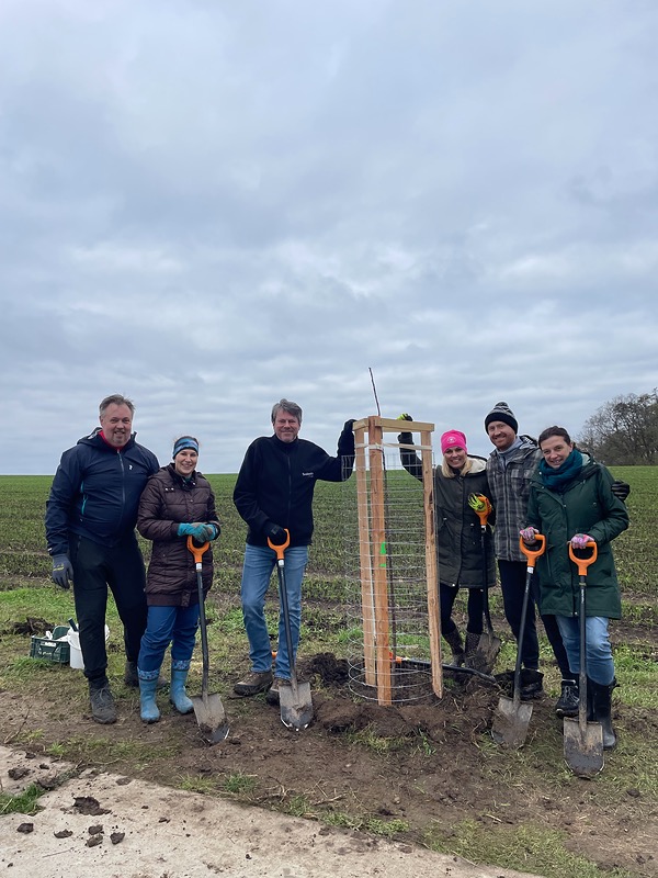 Severotisk ve Vodochodech aneb dosázení aleje jeřábů